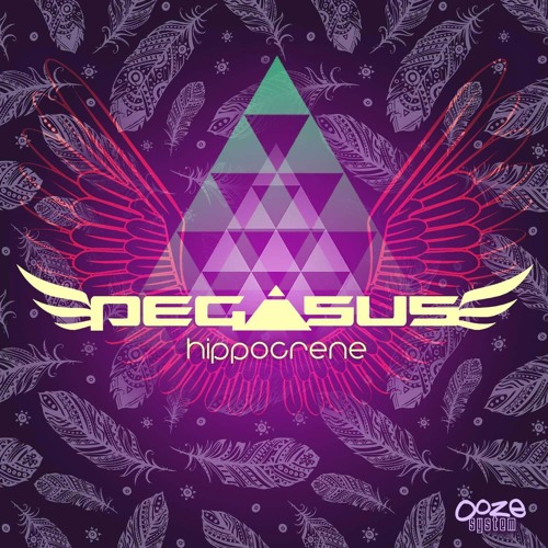 PEGA5U5 - Temporary Love [Champagne Drip Remix]