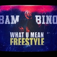 Bam Bino - What U Mean ( Freestyle )