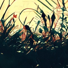 Movement II ~ Caminar