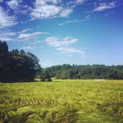 YACHIMATA_160824