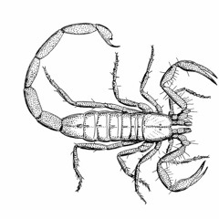 Robo-Scorpions from Uranus