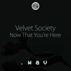 Velvet Society - Now That You're Here [.WAV x Electrostep Network Freebie]