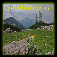 mEAdoWs 72-15