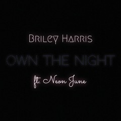 Own The Night (feat. Neon June)