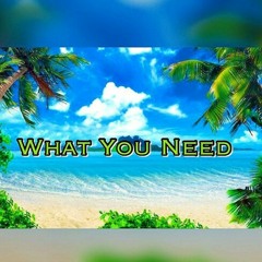 What You Need (Ft. Melle , MT & Finesse King)Prod. By LTTB