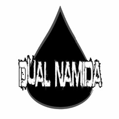 Dual Namida - Protein