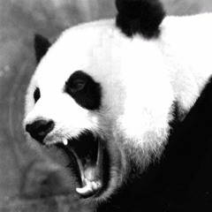 Flyer - Panda Remix