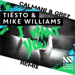 Tiësto & Mike Williams - I Want You (Calmani & Grey Remix)