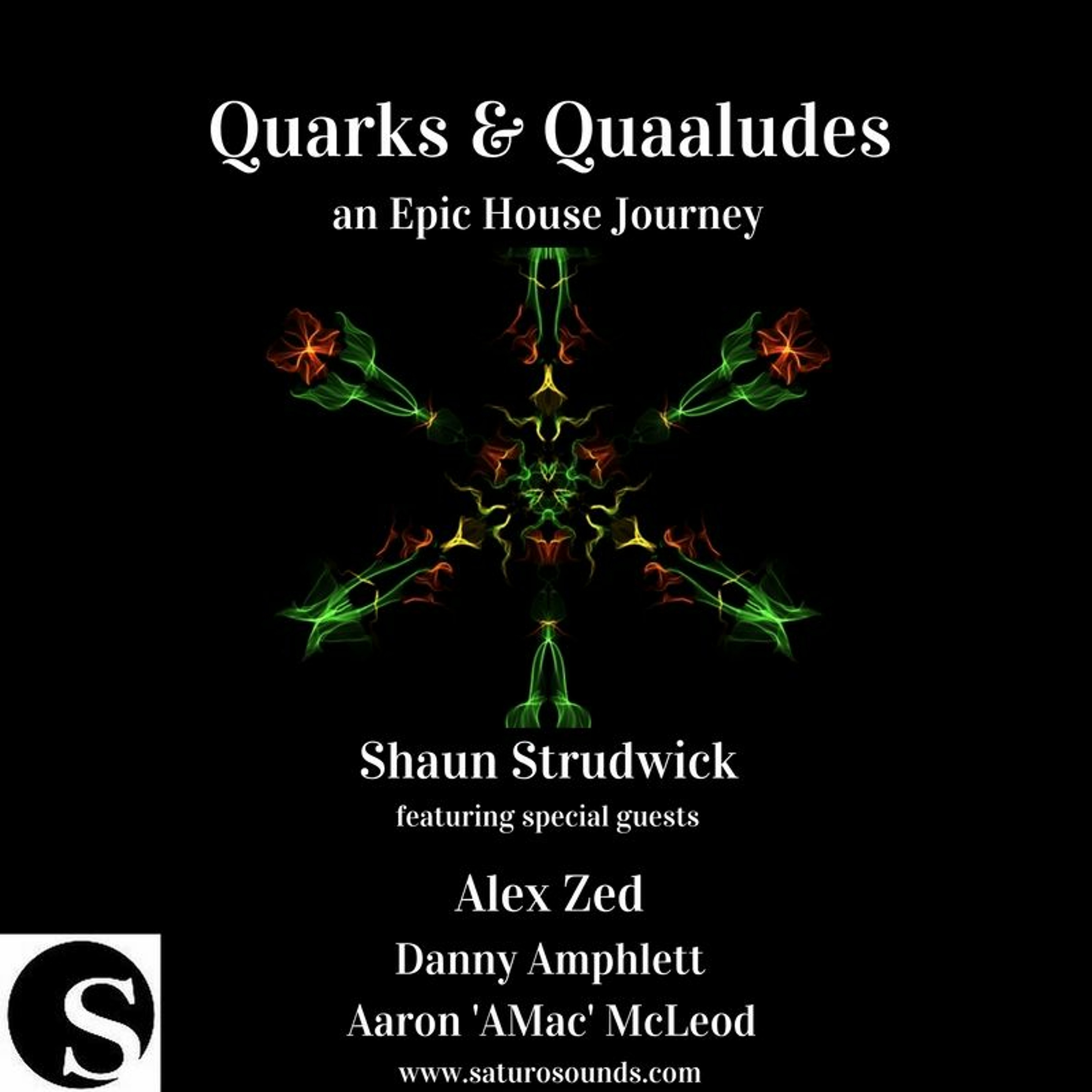 Quarks & Quaaludes #EpicHouseJourney