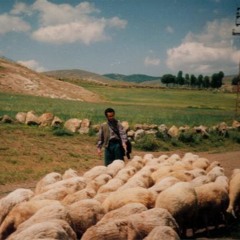 hasret gültekin-kucaklarım seni