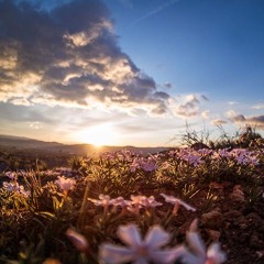 Wish3(Royalty Free Music)
