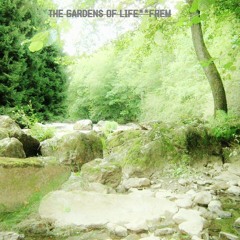 Meadows. Etude Part Two - 4.59