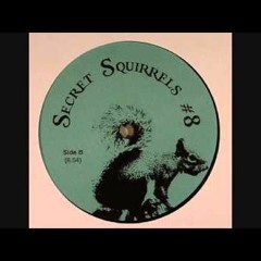 Secret Squirrels #8 - Side B