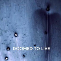 Mokadelic - Doomed To Live (Stop File Edit)