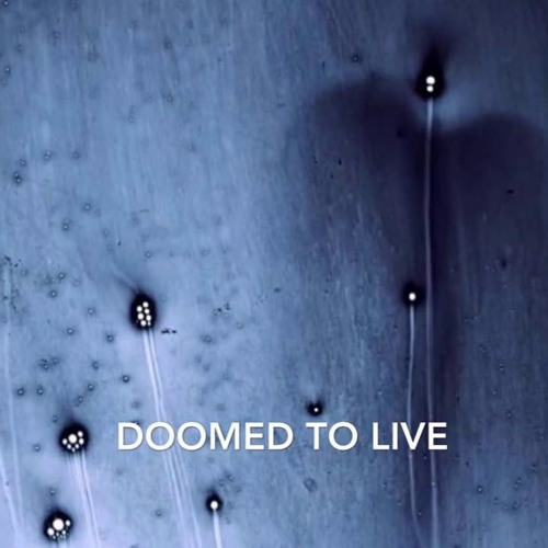 Mokadelic - Doomed To Live (Stop File Edit)