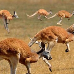 4 ações brilhantes que farão o cliente voltar à sua loja virtual