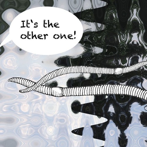 The Journey of the Earthworm. Radia edit