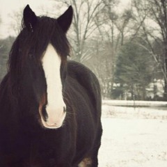 منازل السائرين1