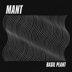 Premiere: MANT - Basil Plant