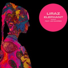 Elephant - A cover for Tame Impala