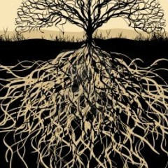 return to roots
