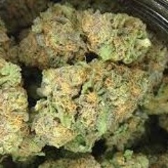 Chronic ft. Junior Reid, Kurupt, Sizzla & Ya Boy