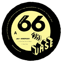 B1 - Joey Anderson -  Vase (clip)
