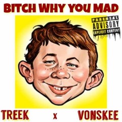 Treek X vONSkee - Why You Mad !
