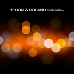 Natural Selection - Dom & Roland