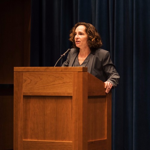 stream-dean-risa-goluboff-welcomes-uva-law-class-of-2019-by-university