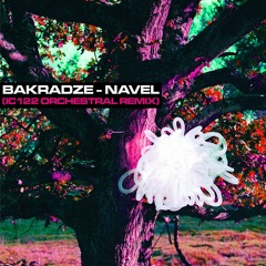 Bakradze - Navel (IC122 Naღvel Remix)