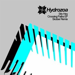 Stiv Hey - Crossing Paths (Skober Remix) [Hydrozoa]