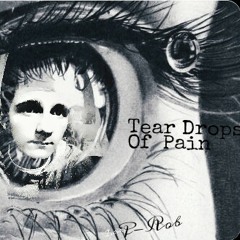 Voice_160824_85-1.3gp