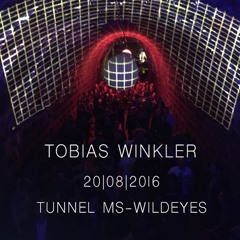 Podcast Tobias Winkler Tunnel Mittelstille 20 - 08 - 20I6
