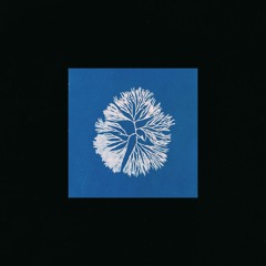 Playlist de la mi-décembre 2016
