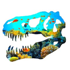 You Aren't (Keep Swimming)