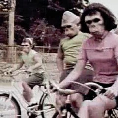 Micachu and the Shapes - Low Dogg (Stone Lions Edit)