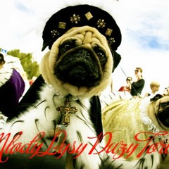 Młody Łysy wraz z Duży Torba ZGRILLA FREESTYLE