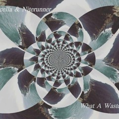 Ascella & Niterunner - What A Waste