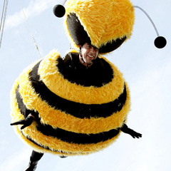 Smoke Bees Everyday