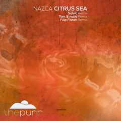 Nazca - Citrus Sea (Salski Remix)