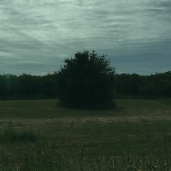 the things we miss for the people we want to care about us