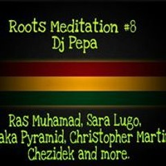 ROOTS MEDITATION 8 - DJ PEPA