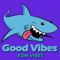 Edm Vibes - Holy Ship.mp3