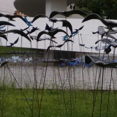 Bem-Me-Leve - Apanhador Só (Cover Sinhori)