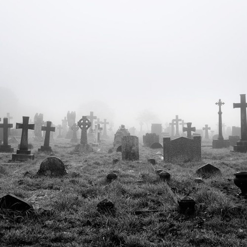 DVS NME - Polyandrium