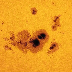everyday (08-24-16) sun spot stare