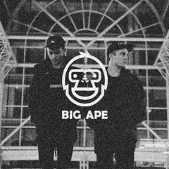 Big Ape presents Gamma & Oakover // Stooki Sound Promo Mix