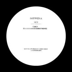 Exclusive Premiere - dubspeeka - SK30