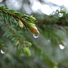 STELLAR STREAM  (New Glitch Hop)